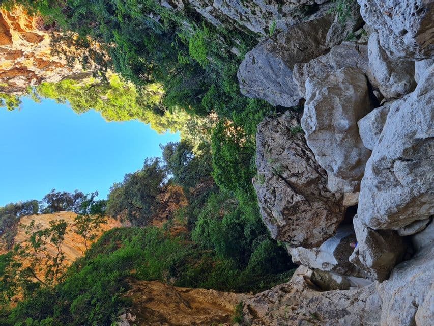 Una vista de ángulo bajo desde una garganta rocosa, mirando hacia acantilados escarpados cubiertos de árboles verdes bajo un trozo de cielo azul.