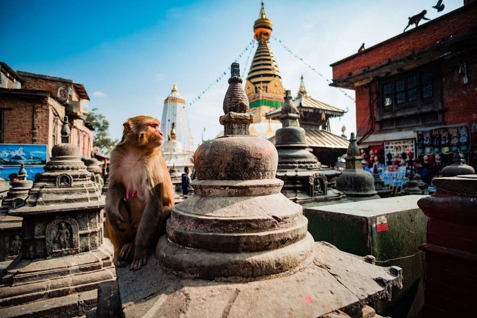 A macaque monkey sits on a small stone stupa in a temple complex, with larger stupas and a clear blue sky in the background.