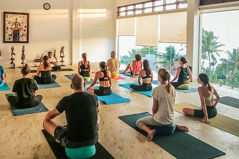 Un viaggio di gruppo WeRoad pratica meditazione su tappetini da yoga in uno studio con ampie finestre che si affacciano su palme.