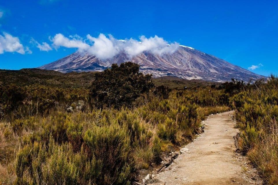 Un chemin de terre traverse un paysage de broussailles vertes et jaunes vers une grande montagne au sommet enneigé.