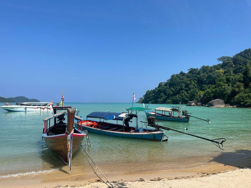 Barcos tradicionales de cola larga amarrados en una playa de arena junto a aguas tranquilas de color turquesa, con una colina boscosa detrás.