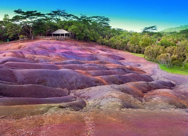 Sanfte Dünen aus mehrfarbiger Erde in Lila-, Rot- und Orangetönen, begrenzt von einem grünen Wald unter einem strahlend blauen Himmel.