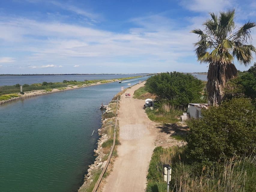 Une vue plongeante sur un long canal longeant un chemin de terre avec des gens qui marchent, entouré de verdure et d'un palmier.