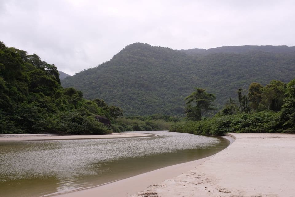 Une rivière serpente le long d'une berge sablonneuse avec des collines densément boisées en arrière-plan sous un ciel nuageux.