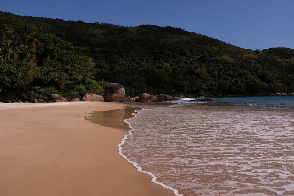 Le littoral d'une plage de sable isolée où de douces vagues rencontrent le sable, avec une colline verdoyante en arrière-plan.