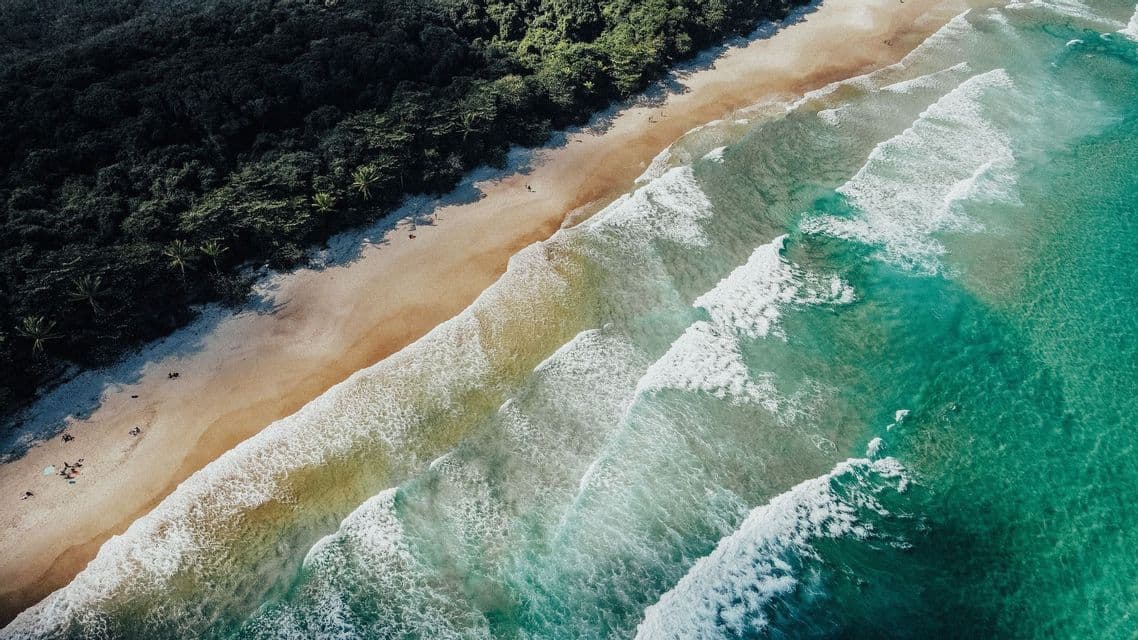 Vista aérea de olas turquesas del océano llegando a una playa de arena, bordeada por un denso bosque verde.