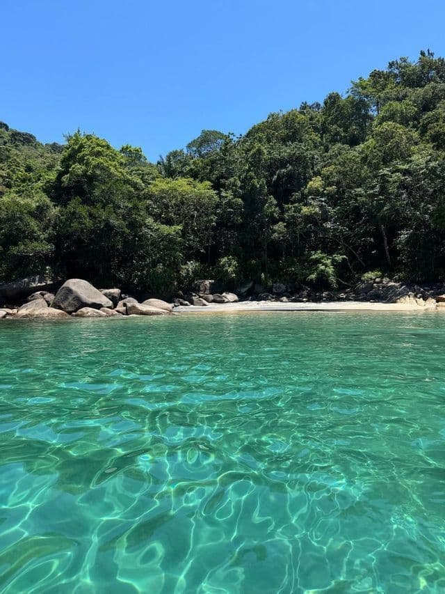 Aguas turquesas cristalinas brillan bajo el sol, con una playa de arena apartada, flanqueada por rocas y un denso bosque verde al fondo.