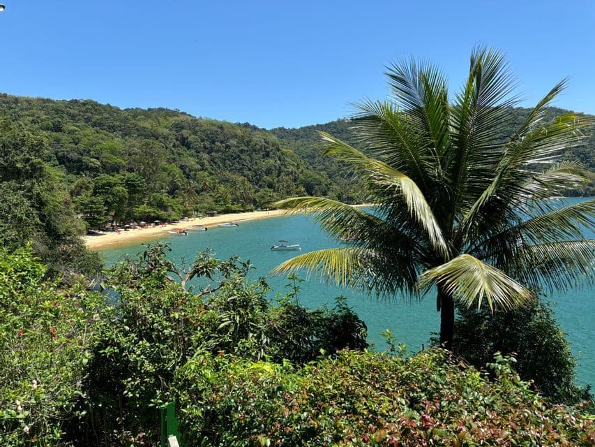 Vista de una cala tropical con exuberante vegetación, playa de arena, agua turquesa con barcos y una gran colina boscosa.