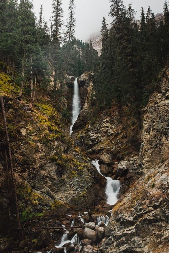 Una cascata scende da una gola rocciosa coperta di muschio, circondata da alti pini sotto un cielo coperto.