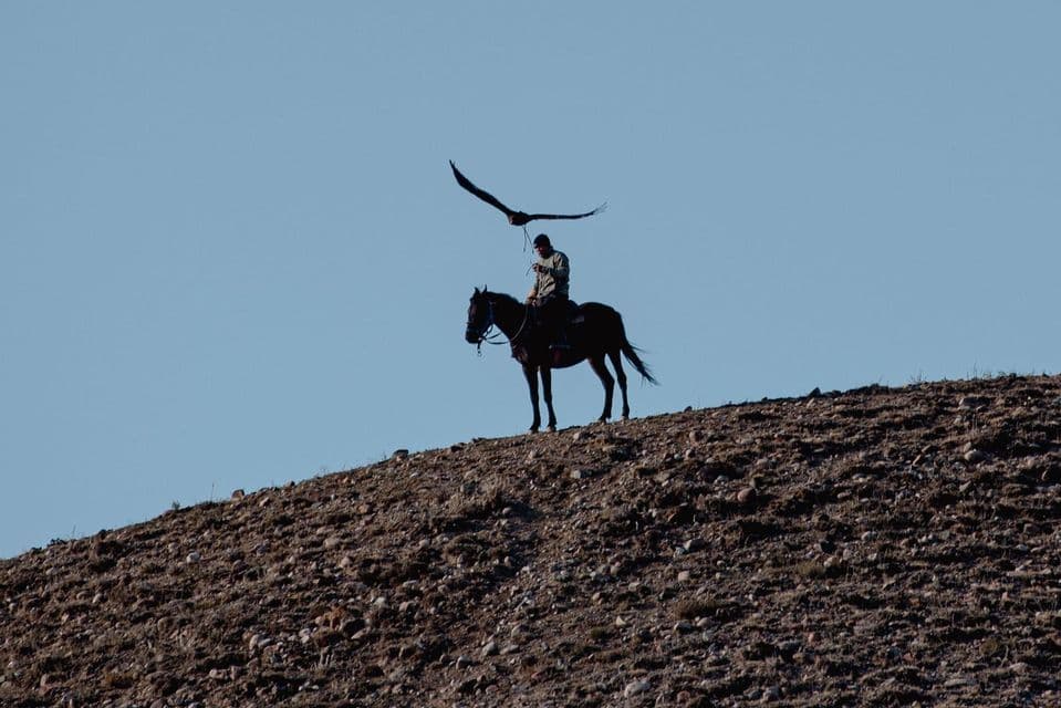 Una persona a cavallo su una collina rocciosa rilascia un grande rapace, che si libra in volo contro un cielo blu.