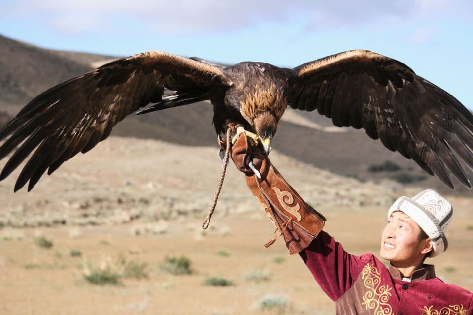 Un uomo in abiti tradizionali tiene una grande aquila con le ali spiegate sul braccio guantato, guardando l'uccello.