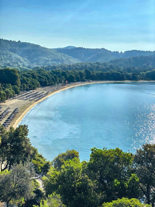 Una vista aerea di una spiaggia sabbiosa a forma di mezzaluna con file di ombrelloni, circondata da acque blu calme e una fitta foresta verde.