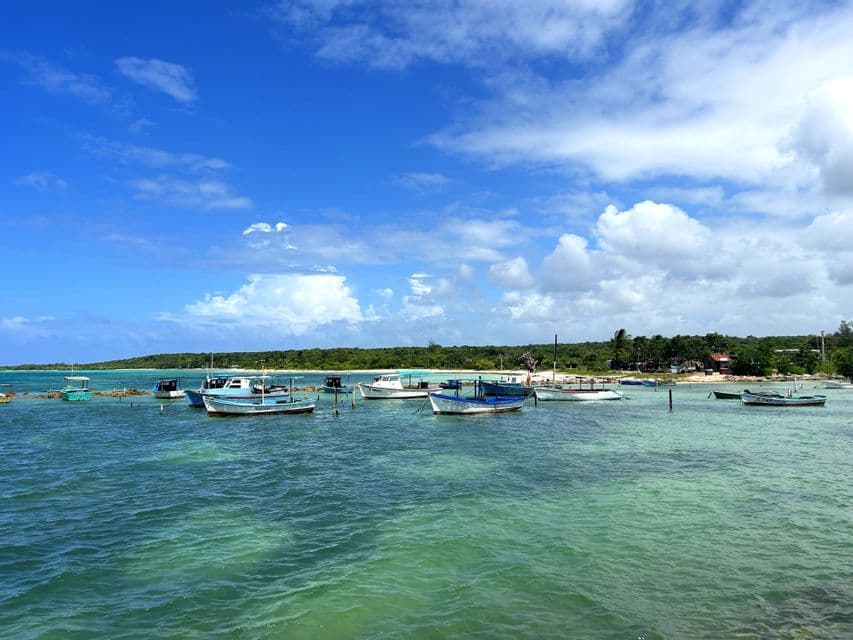 Pequeños barcos de pesca amarrados en aguas tranquilas y turquesas cerca de una orilla arenosa y arbolada bajo un cielo parcialmente nublado.
