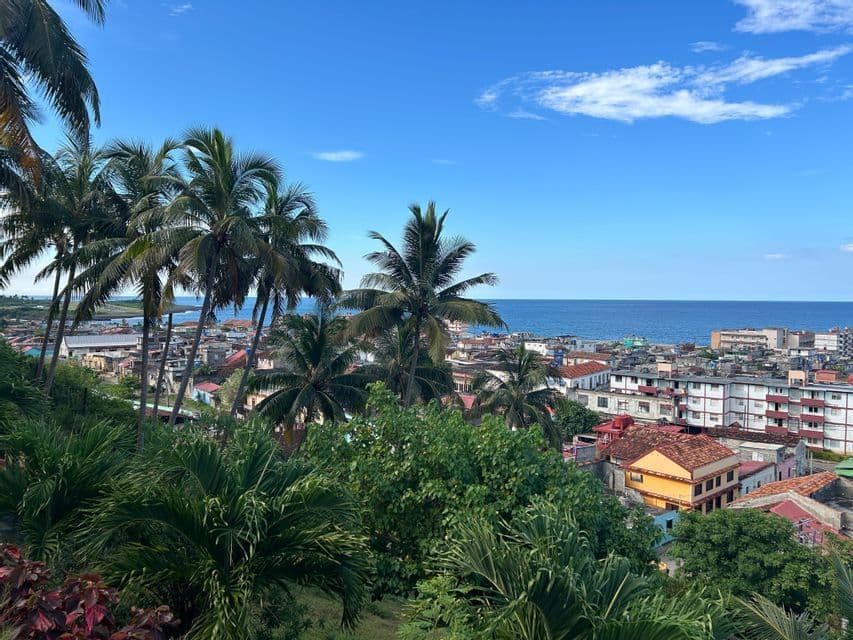 Una vista panorámica de una ciudad costera con edificios y tejados, entre palmeras y vegetación exuberante, y el océano al fondo.