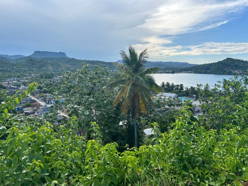 Vista cenital de un pueblo costero junto a una bahía, con exuberante follaje verde y una palmera en primer plano.