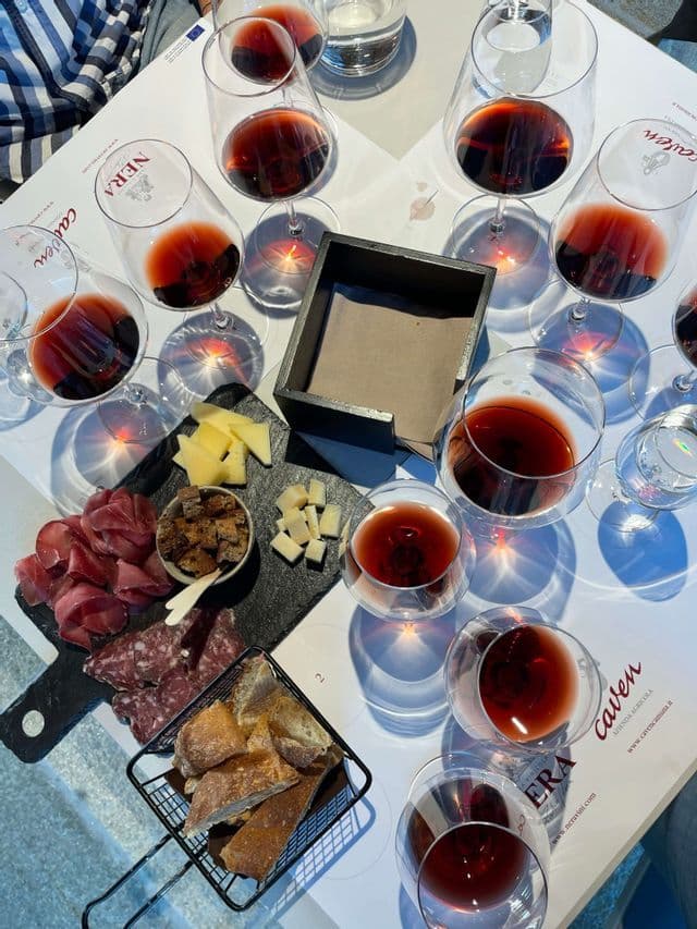 Vista aerea di una degustazione di vini, con calici di vino rosso e un tagliere di salumi, formaggi e pane.