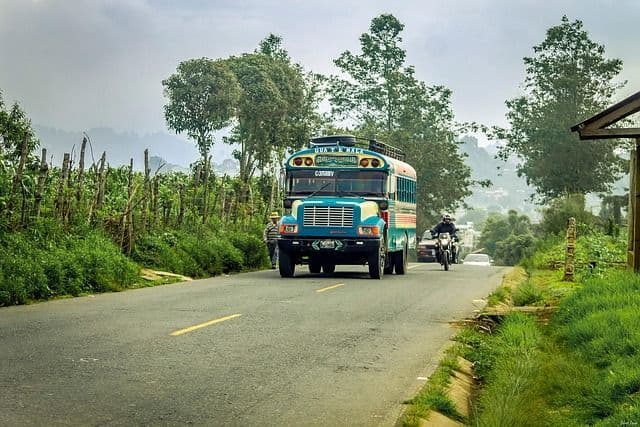 Un autobus colorato e una motocicletta percorrono una strada rurale fiancheggiata da alberi e vegetazione lussureggiante sotto un cielo coperto.