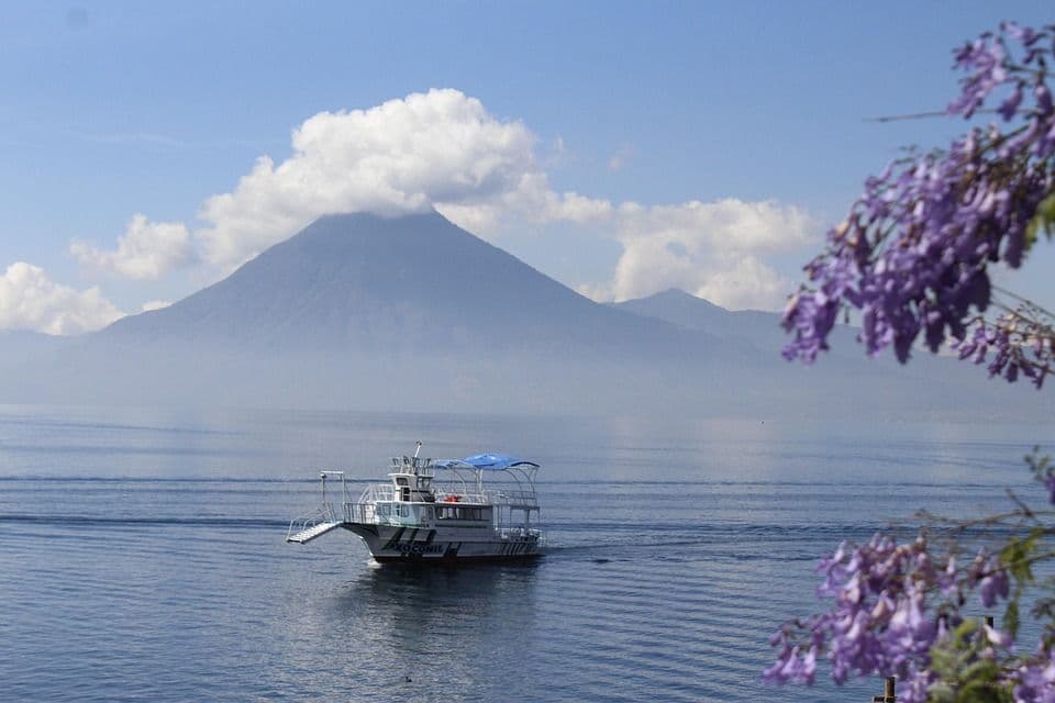 Una barca turistica bianca naviga su un lago, con una grande montagna nuvolosa sullo sfondo e fiori viola che incorniciano il panorama.