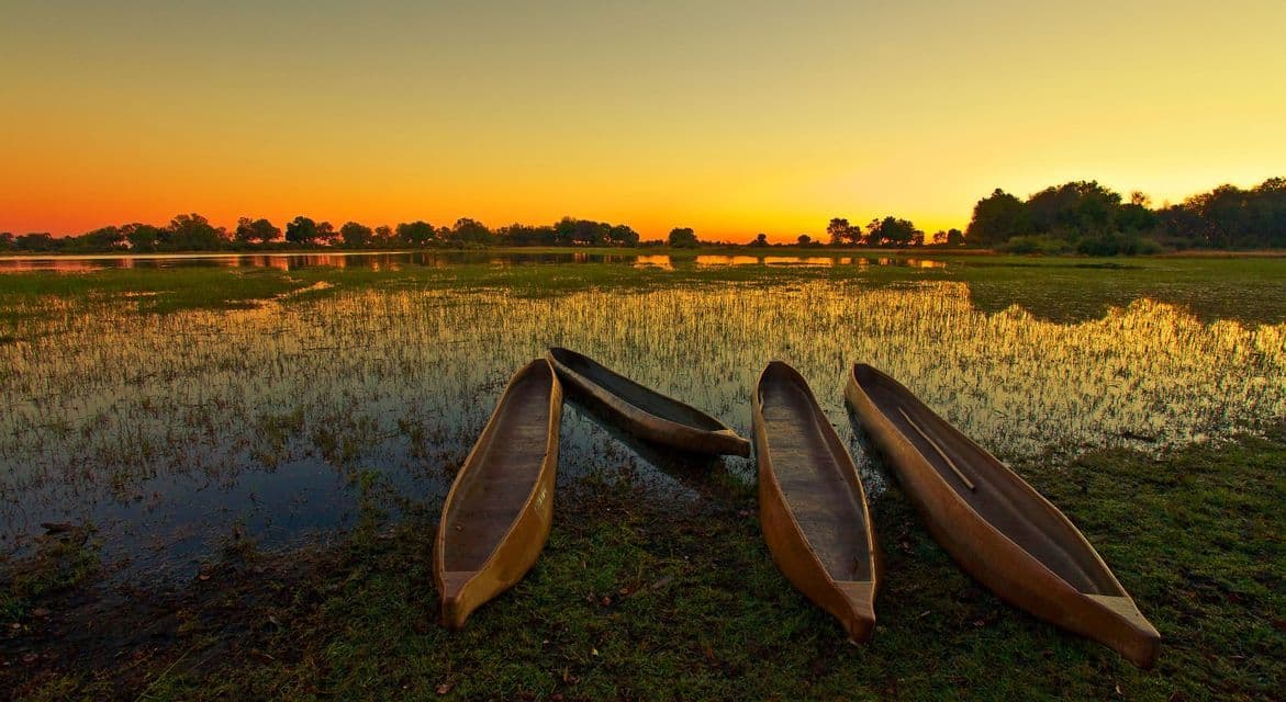 Quattro canoe di legno riposano su una sponda erbosa accanto a una tranquilla zona umida sotto un cielo arancione al tramonto.