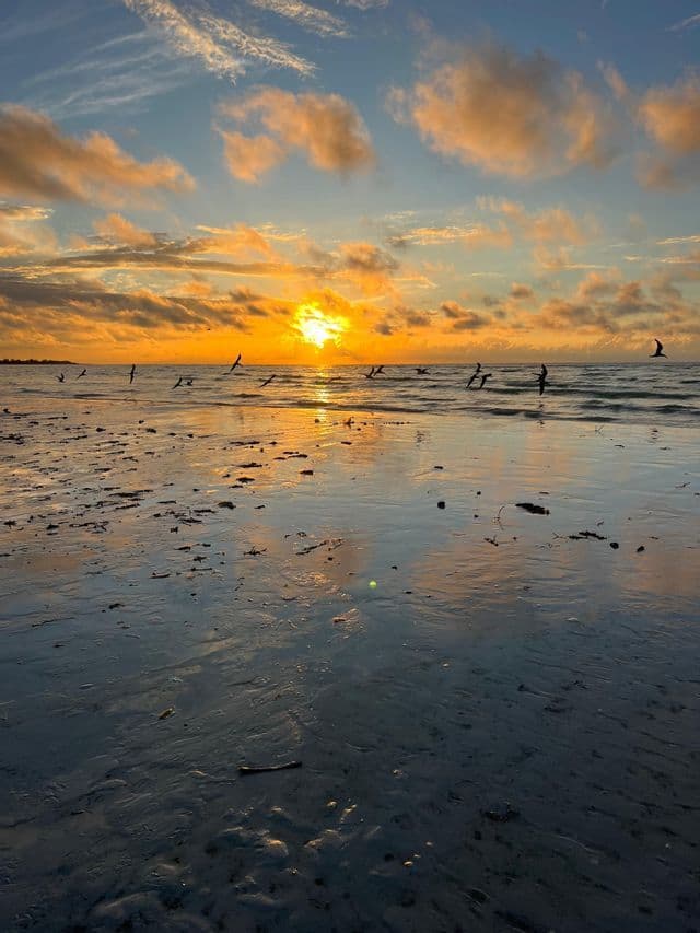 Un tramonto dorato sull'oceano, con uccelli che volano bassi sull'acqua e sabbia bagnata che riflette il cielo.