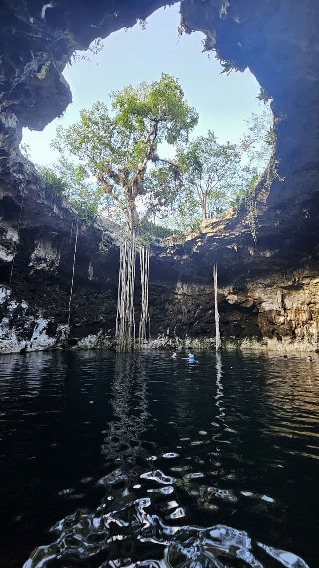 Un viaggio di gruppo WeRoad nuota nelle acque scure di un cenote, mentre le liane pendono dal cielo aperto sopra.