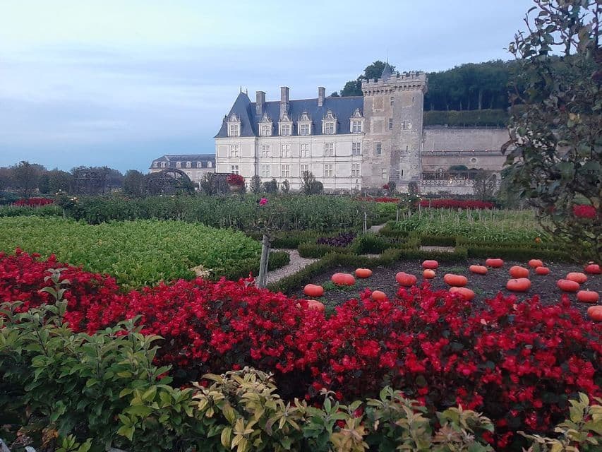 Un jardin à la française avec des citrouilles, des fleurs rouges et des potagers devant un grand château en pierre.