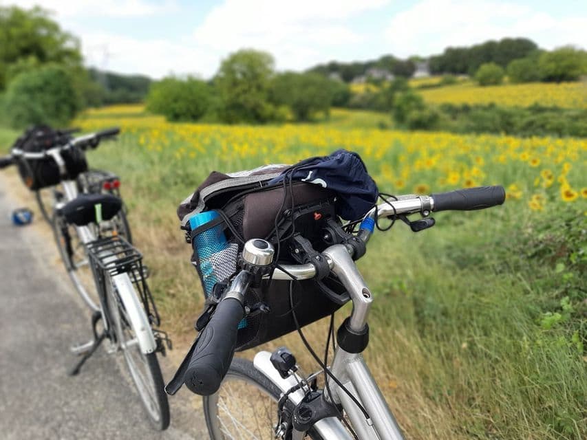 Un gros plan sur le guidon d'un vélo garé sur un chemin, à côté d'un grand champ de tournesols jaunes.