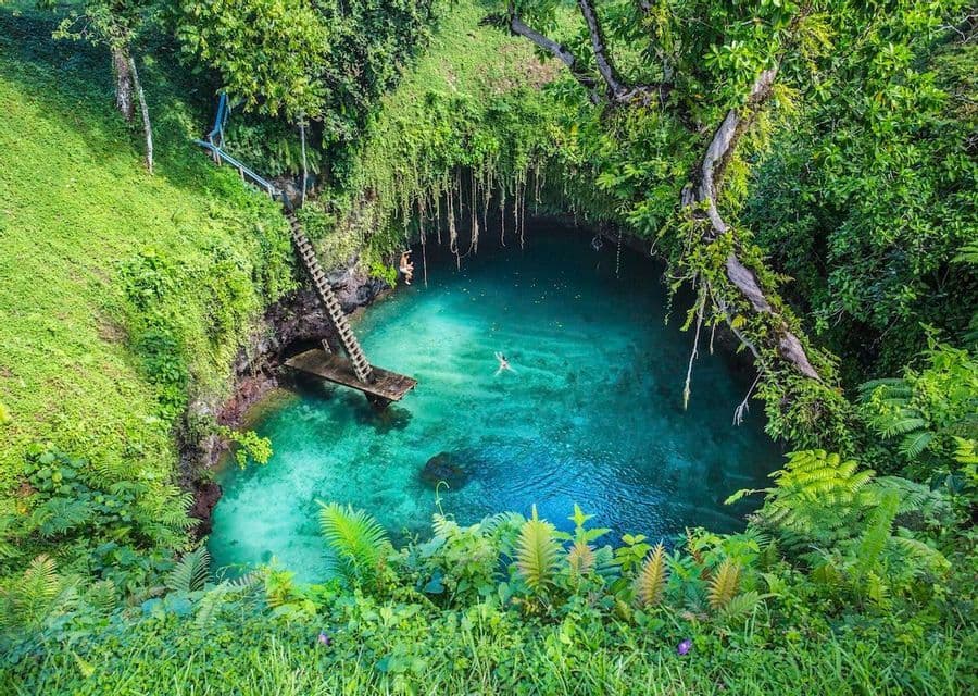 Membri di un viaggio di gruppo WeRoad nuotano in un cenote turchese nella giungla, accessibile tramite una lunga scala di legno.
