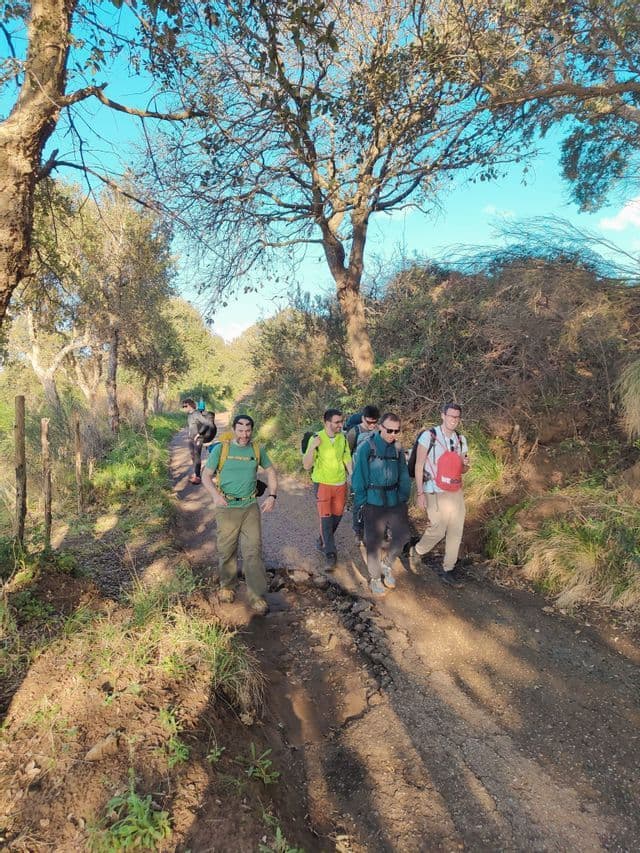 Un viaggio di gruppo WeRoad di persone con zaini in spalla che fanno trekking su un sentiero sterrato attraverso una zona boschiva in una giornata di sole.