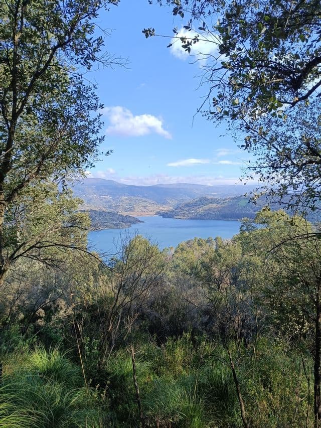 Un ampio lago blu incastonato tra dolci colline verdi, visto dall'alto attraverso una cornice di alberi frondosi sotto un cielo azzurro.