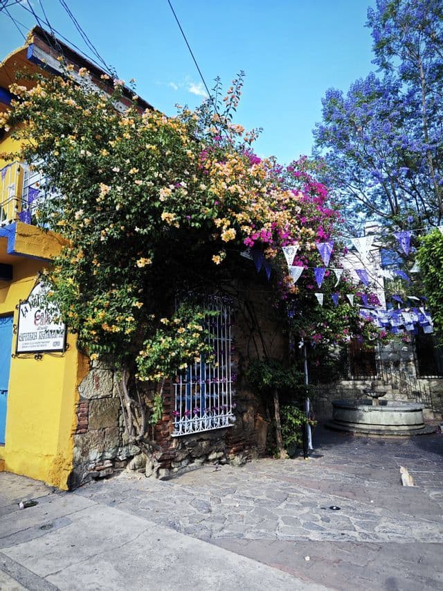 Eine gelbe Gebäudeecke, bedeckt mit bunten Blumenranken, steht neben einem Kopfsteinpflasterhof mit einem Brunnen und dekorativen Flaggen.