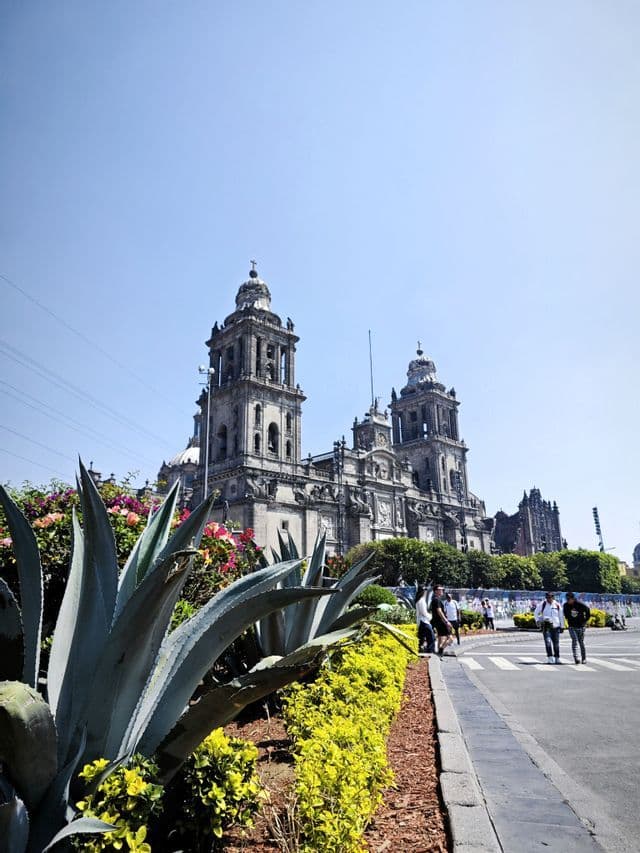 Eine große Steinkathedrale mit zwei Glockentürmen, von einer Straßenecke aus gesehen, mit Agaven und bunten Blumen im Vordergrund.