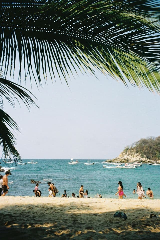 Eine sonnige Strandszene mit Menschen im Wasser und Booten vor der Küste, eingerahmt von großen grünen Palmenwedeln im Vordergrund.