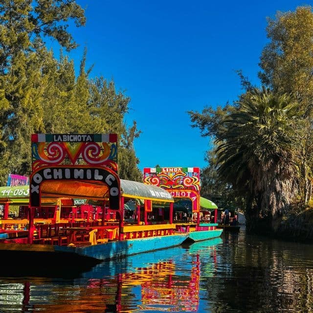 Bunt bemalte Xochimilco-Trajineras gleiten auf einem ruhigen Kanal, umgeben von üppigen Bäumen unter klarem blauem Himmel.