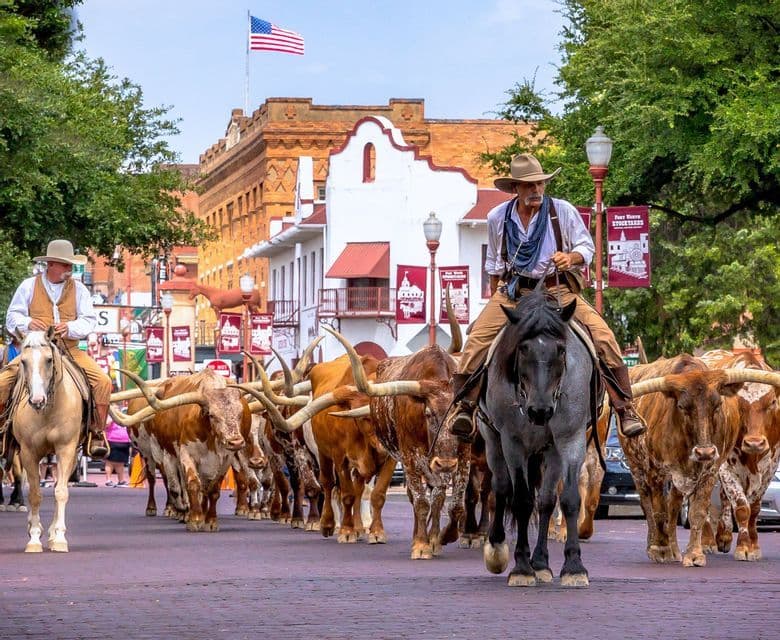 Cowboys on horseback guide a herd of Texas longhorns down a brick street during a cattle drive parade.