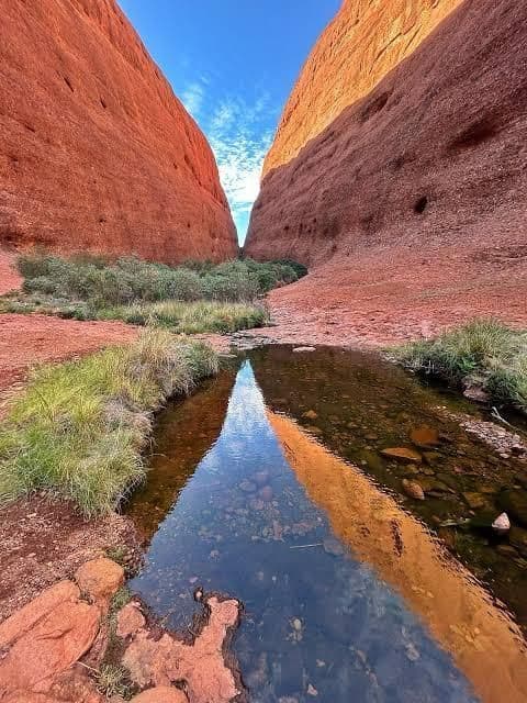 Ein kleiner Bach fließt durch eine schmale Schlucht aus hohem rotem Fels und spiegelt den blauen Himmel sowie die Canyonwände in seinem klaren Wasser wider.