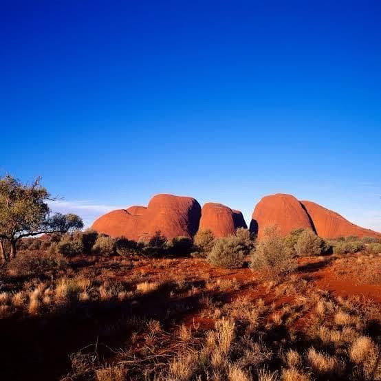 Große rote Felsformationen erheben sich über einer trockenen Landschaft aus Büschen und rotem Boden unter klarem blauem Himmel.