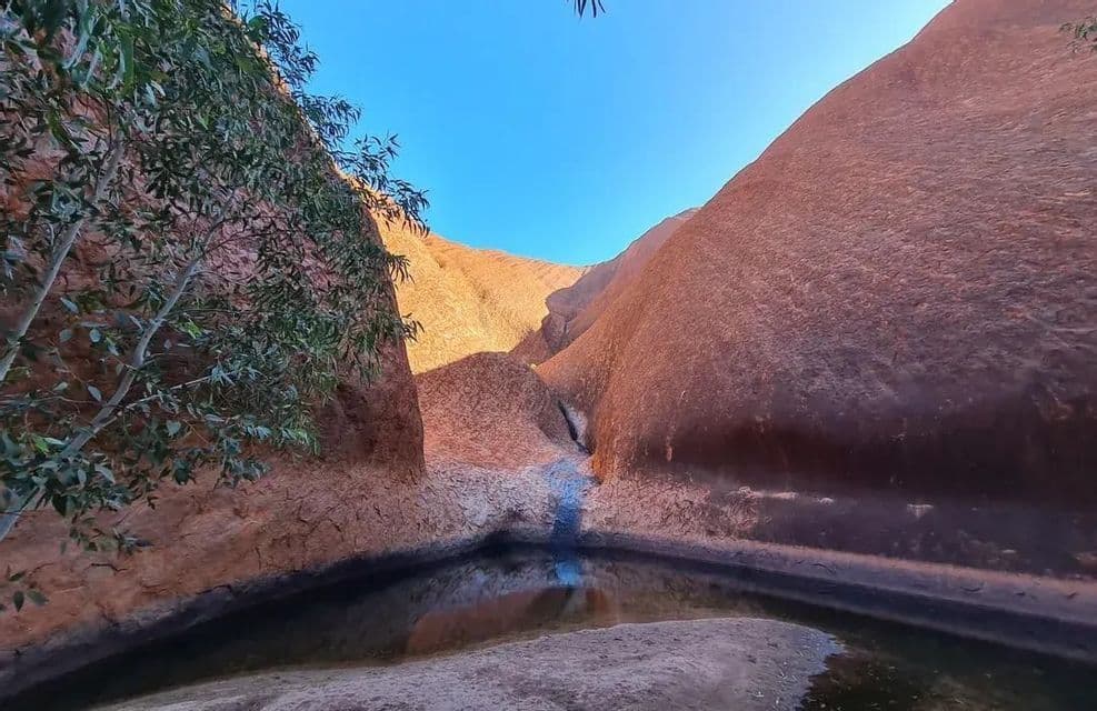 Ein kleines Wasserbecken, eingebettet zwischen großen roten Felsformationen, spiegelt einen klaren blauen Himmel wider, mit einem grünen, belaubten Baum auf der linken Seite.
