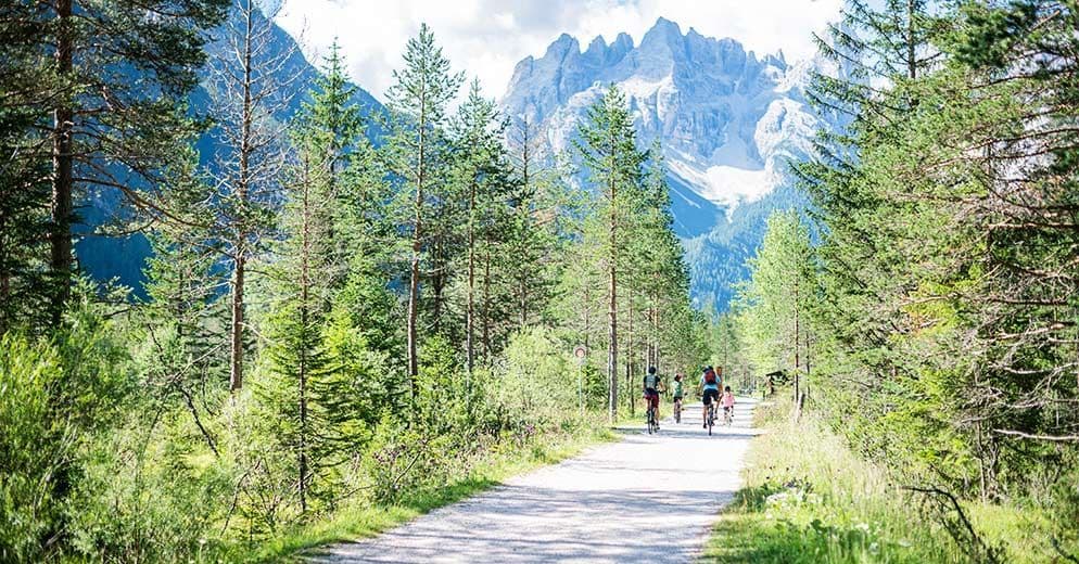Un viaggio di gruppo WeRoad in bicicletta su un sentiero attraverso una pineta con una catena montuosa sullo sfondo.