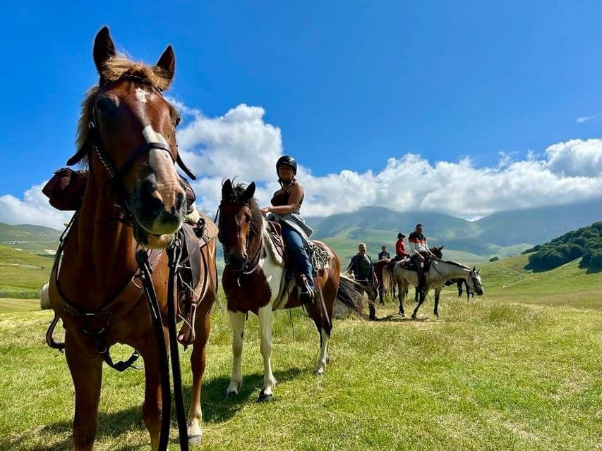 Un viaggio di gruppo WeRoad a cavallo in un ampio prato verde con colline ondulate sullo sfondo sotto un cielo azzurro.