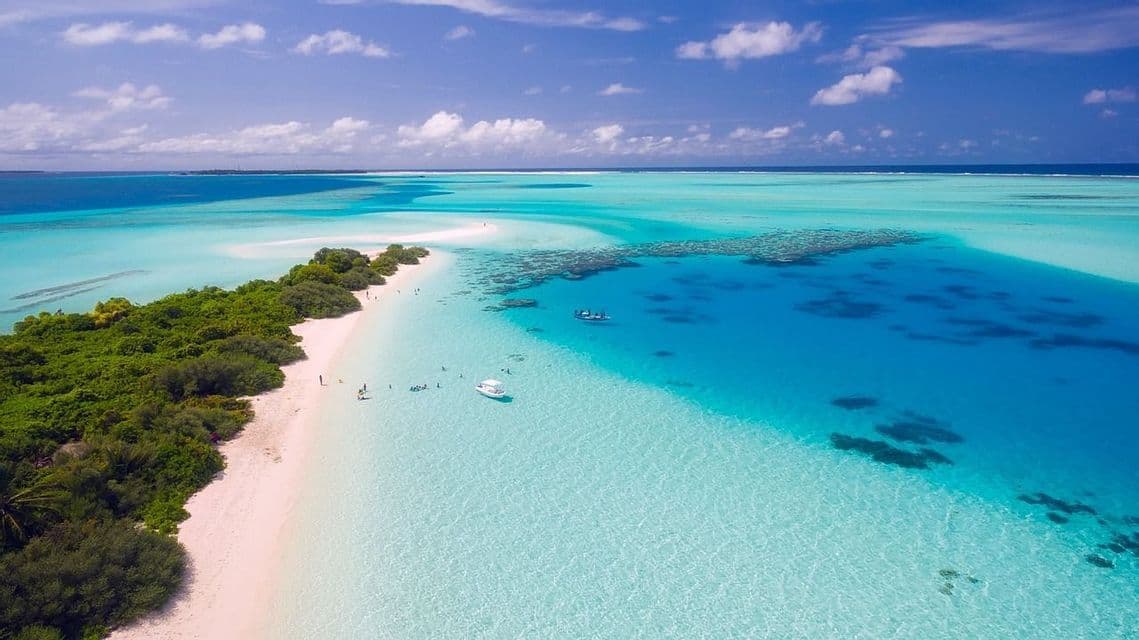 Vue aérienne d'un banc de sable blanc avec des arbres verts entouré d'une eau turquoise claire et de récifs coralliens sous un ciel bleu.