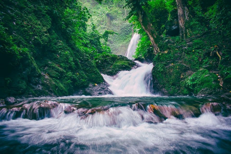 Una cascada de agua cae en un río rocoso, rodeada de exuberante vegetación selvática.