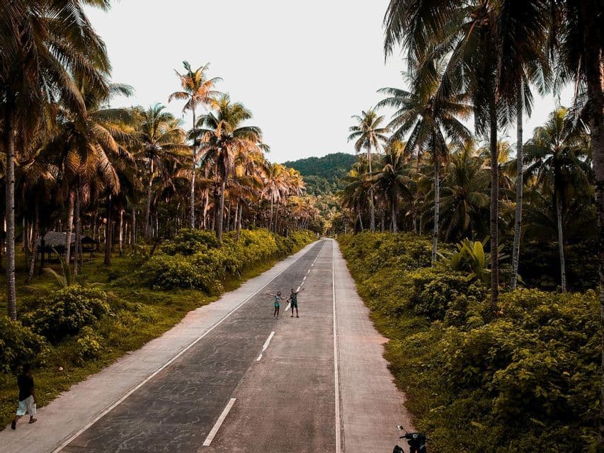 Dos personas de un viaje WeRoad se encuentran en medio de una carretera flanqueada por altas palmeras y exuberante selva.