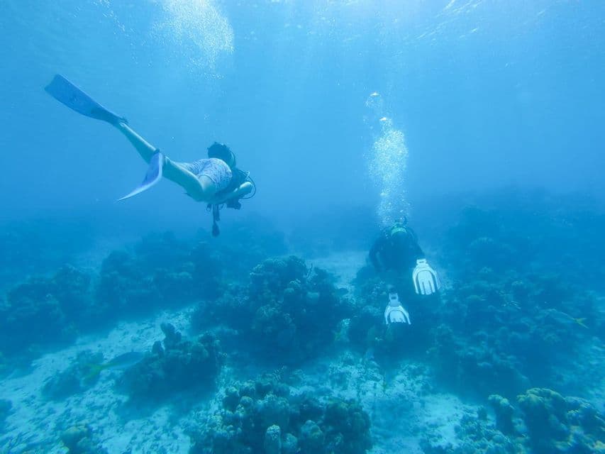A WeRoad group trip of two people scuba diving over a coral reef in clear blue ocean water.