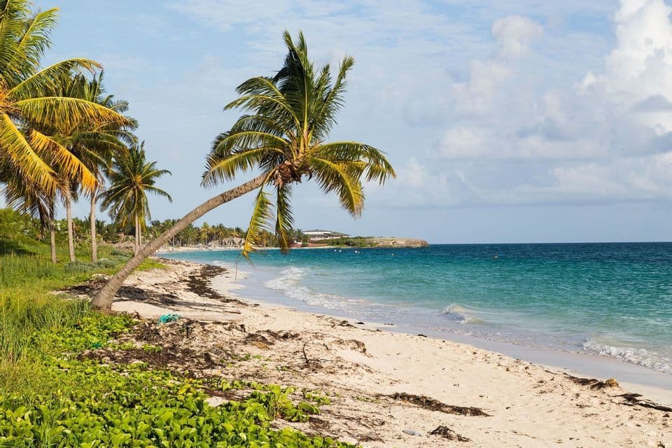 A bent palm tree leans over a white sand beach with turquoise water and green vegetation under a partly cloudy sky.