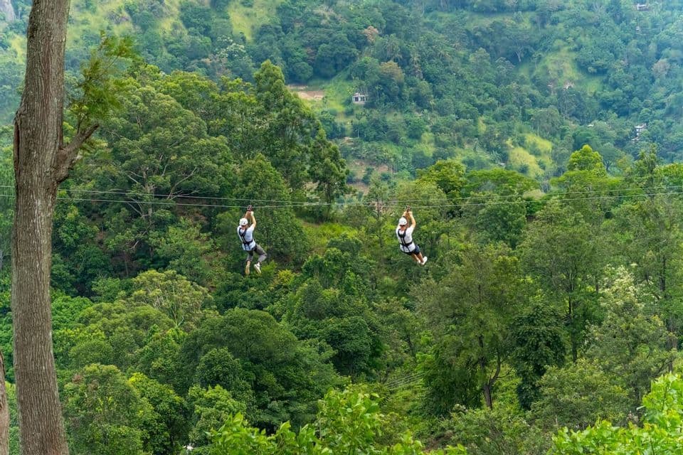 Deux personnes portant des casques et des harnais font de la tyrolienne sur des lignes parallèles, très haut au-dessus d'une forêt dense et verte.