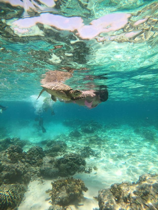 Vue sous-marine d'une femme faisant de la plongée avec tuba à côté d'une tortue de mer dans une eau turquoise claire au-dessus d'un récif corallien.