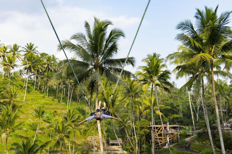 A person with arms outstretched rides a large swing high above a lush valley of palm trees.