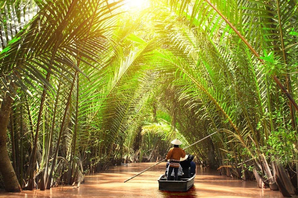 A person wearing a conical hat paddles a WeRoad group trip in a small boat down a river through a tunnel of arching palm trees.