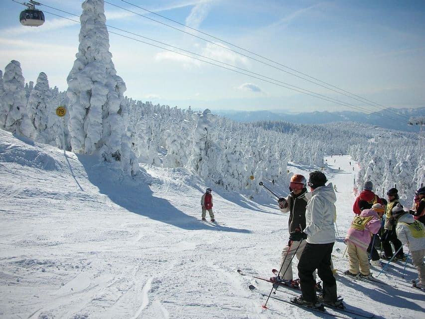 A WeRoad group trip of people on skis standing on a snowy slope with heavily snow-covered trees and a ski lift overhead.